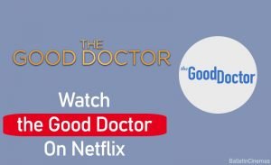 Is The Good Doctor on Netflix